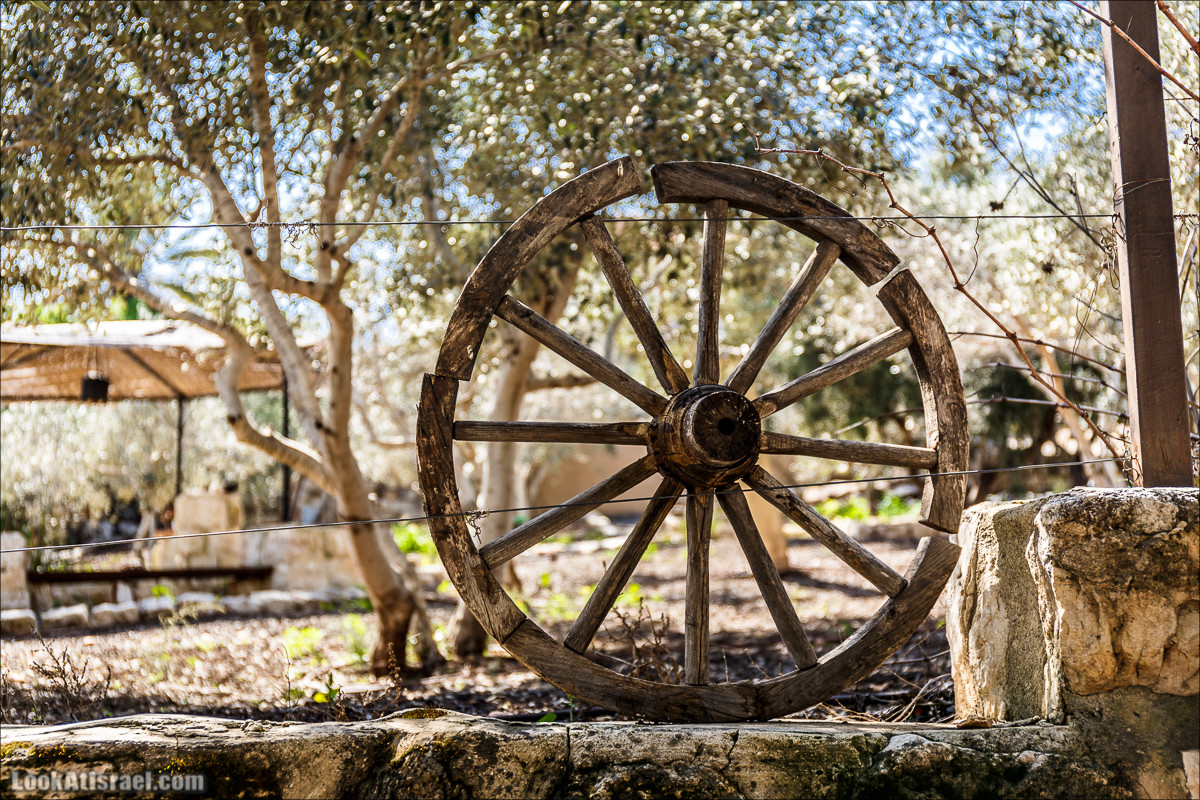 Субботники в Галилее | LookAtIsrael.com - Фото путешествия по Израилю