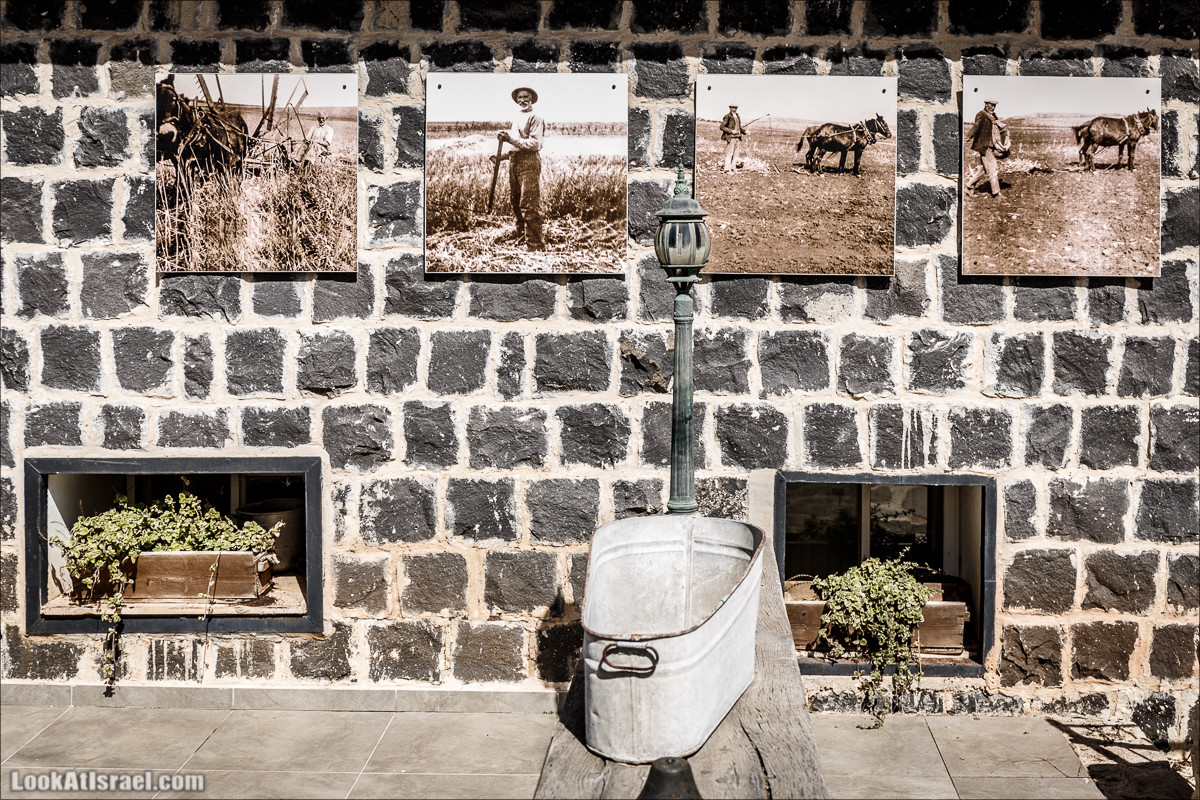 Субботники в Галилее | LookAtIsrael.com - Фото путешествия по Израилю