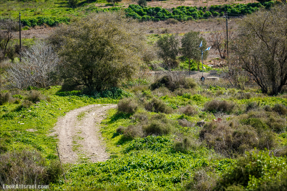 Субботники в Галилее | LookAtIsrael.com - Фото путешествия по Израилю