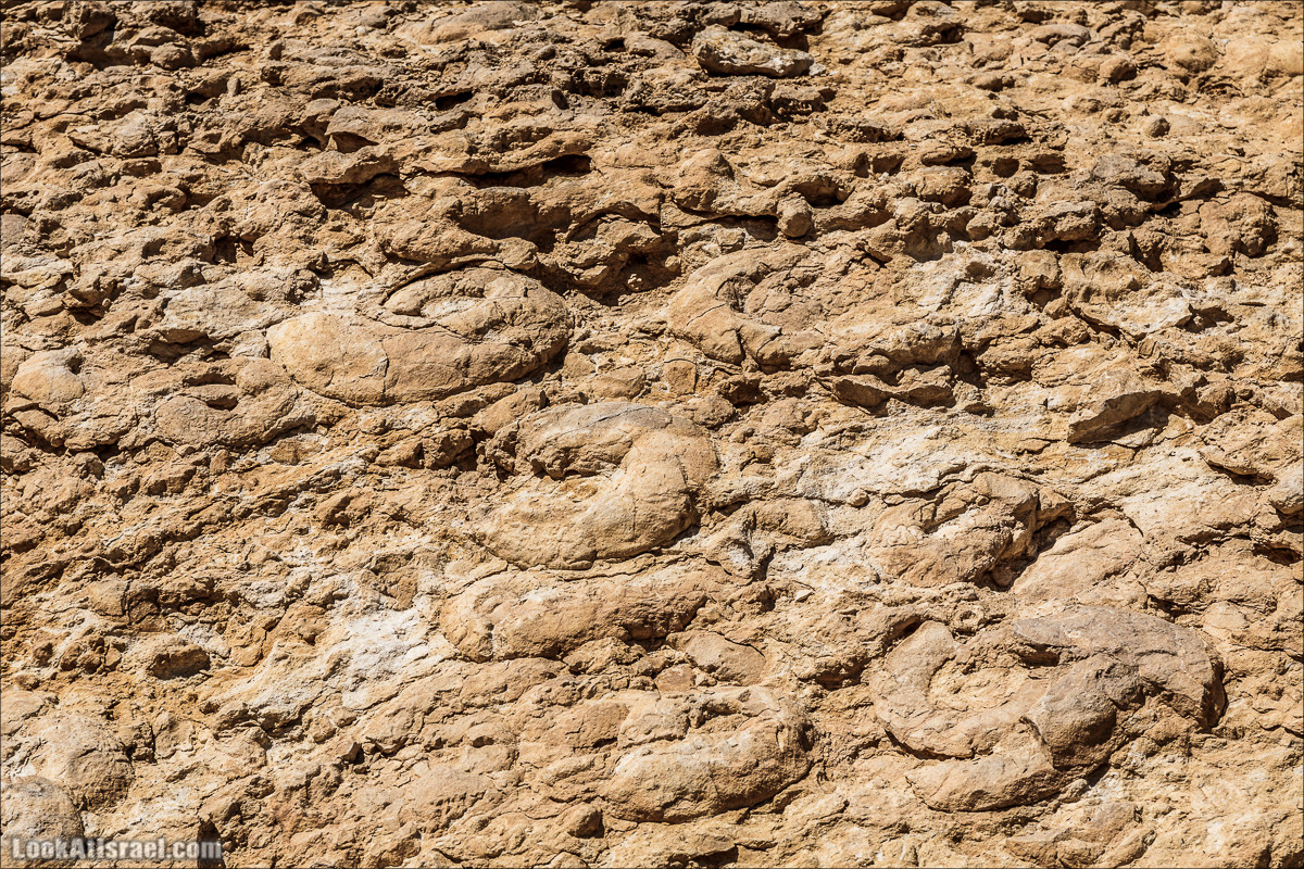 Махтеш Рамон, Махтеш Гадоль и Махтеш Катан | LookAtIsrael.com - Фото путешествия по Израилю