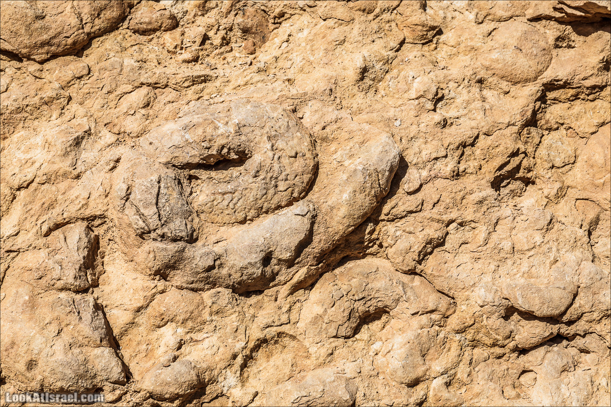 Махтеш Рамон, Махтеш Гадоль и Махтеш Катан | LookAtIsrael.com - Фото путешествия по Израилю