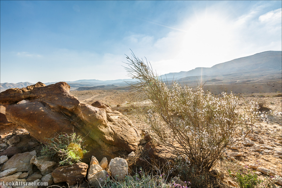 Махтеш Рамон, Махтеш Гадоль и Махтеш Катан | LookAtIsrael.com - Фото путешествия по Израилю