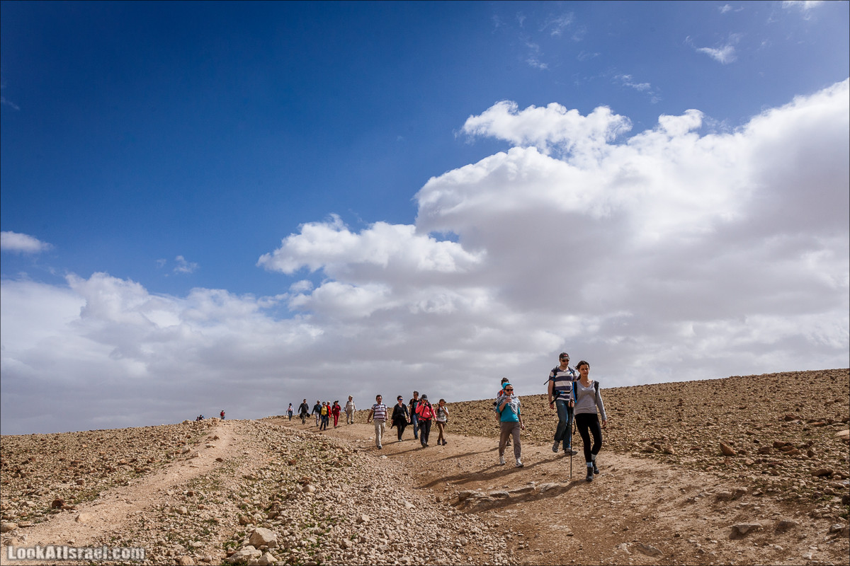 Ущелье Нахаль Ог | Wadi Nahal Og | נחל אוג | LookAtIsrael.com - Фото путешествия по Израилю Ущелье Нахаль Ог | Wadi Nahal Og | נחל אוג | LookAtIsrael.com - Фото путешествия по Израилю