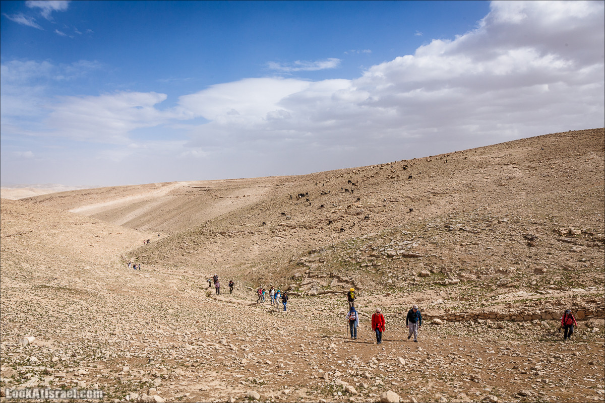 Ущелье Нахаль Ог | Wadi Nahal Og | נחל אוג | LookAtIsrael.com - Фото путешествия по Израилю Ущелье Нахаль Ог | Wadi Nahal Og | נחל אוג | LookAtIsrael.com - Фото путешествия по Израилю