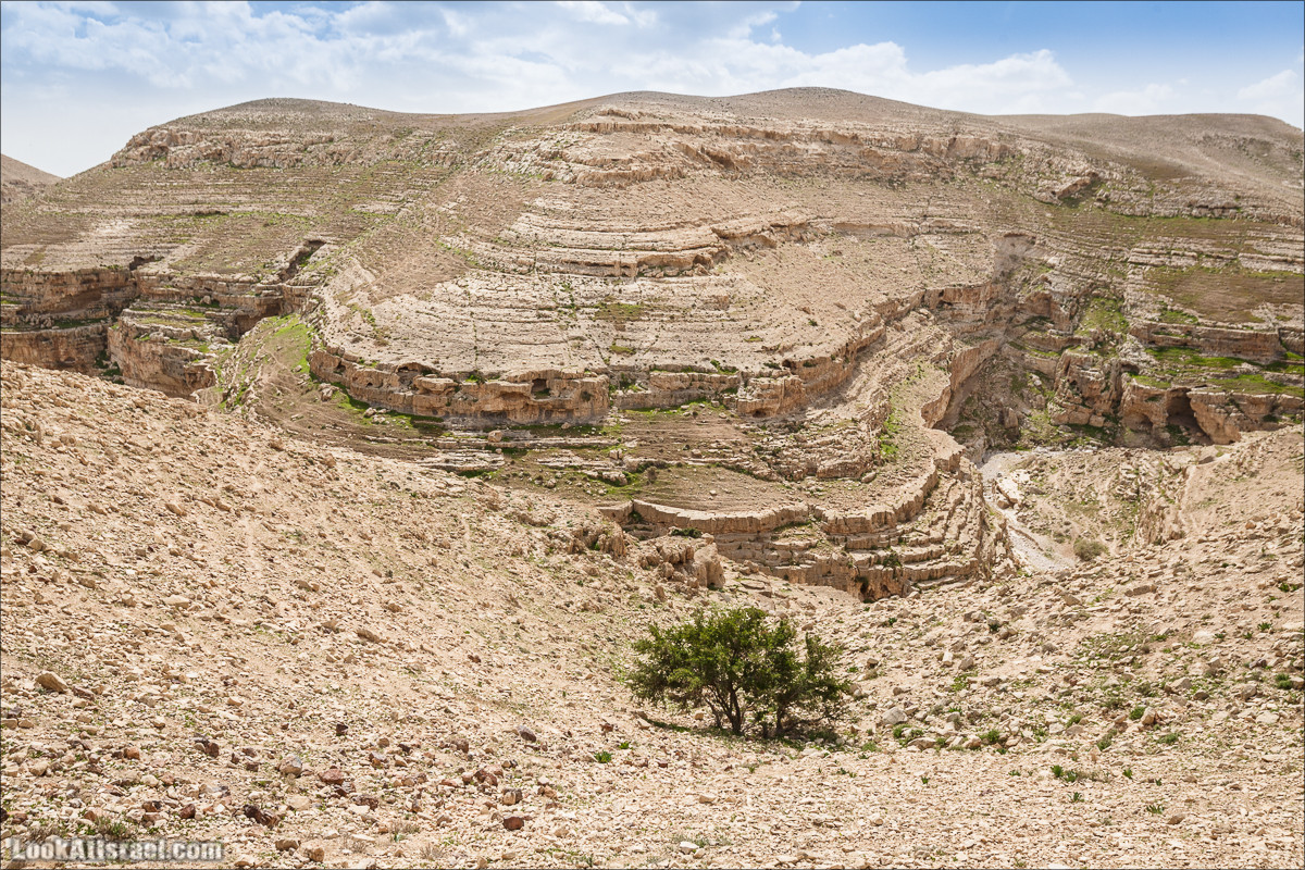 Ущелье Нахаль Ог | Wadi Nahal Og | נחל אוג | LookAtIsrael.com - Фото путешествия по Израилю Ущелье Нахаль Ог | Wadi Nahal Og | נחל אוג | LookAtIsrael.com - Фото путешествия по Израилю