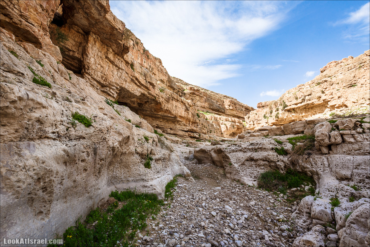 Ущелье Нахаль Ог | Wadi Nahal Og | נחל אוג | LookAtIsrael.com - Фото путешествия по Израилю Ущелье Нахаль Ог | Wadi Nahal Og | נחל אוג | LookAtIsrael.com - Фото путешествия по Израилю