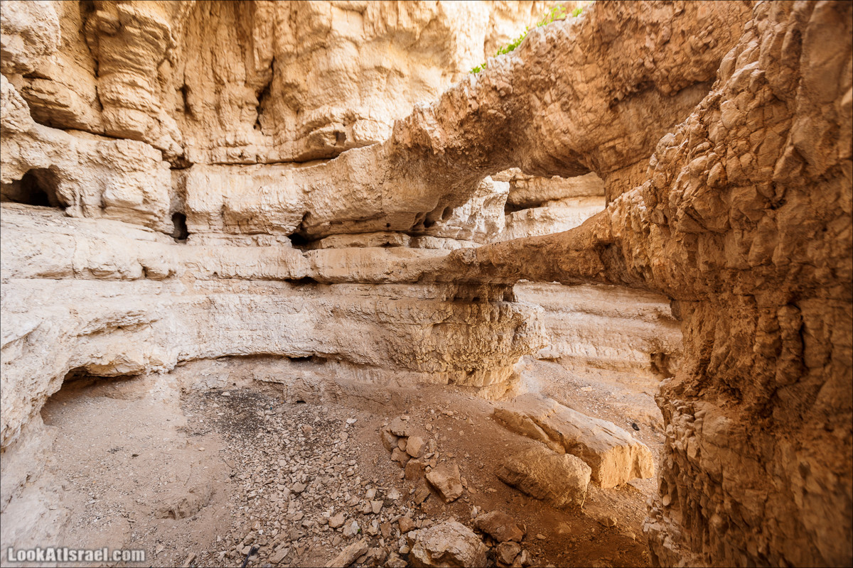 Ущелье Нахаль Ог | Wadi Nahal Og | נחל אוג | LookAtIsrael.com - Фото путешествия по Израилю Ущелье Нахаль Ог | Wadi Nahal Og | נחל אוג | LookAtIsrael.com - Фото путешествия по Израилю