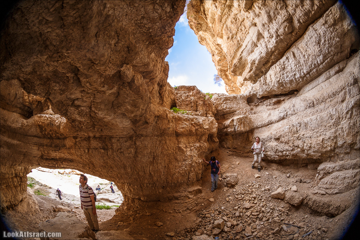 Ущелье Нахаль Ог | Wadi Nahal Og | נחל אוג | LookAtIsrael.com - Фото путешествия по Израилю Ущелье Нахаль Ог | Wadi Nahal Og | נחל אוג | LookAtIsrael.com - Фото путешествия по Израилю