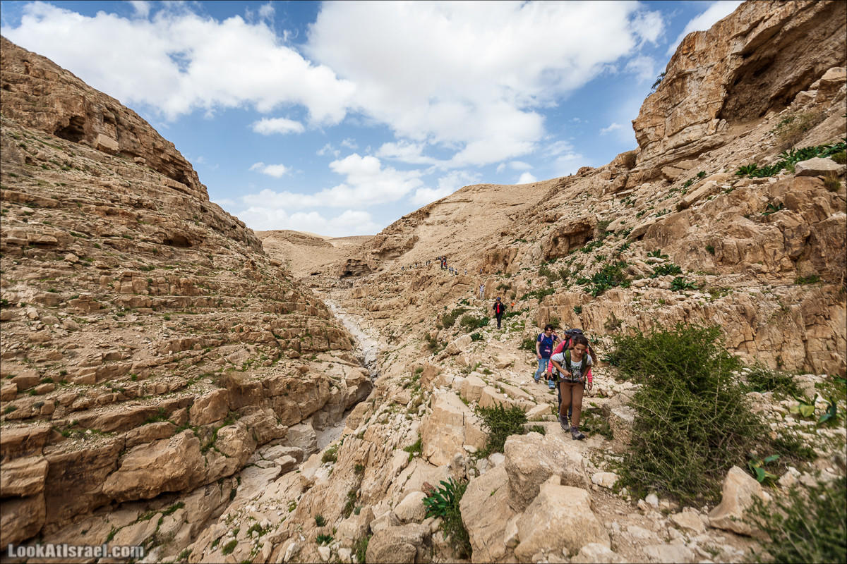 Ущелье Нахаль Ог | Wadi Nahal Og | נחל אוג | LookAtIsrael.com - Фото путешествия по Израилю Ущелье Нахаль Ог | Wadi Nahal Og | נחל אוג | LookAtIsrael.com - Фото путешествия по Израилю