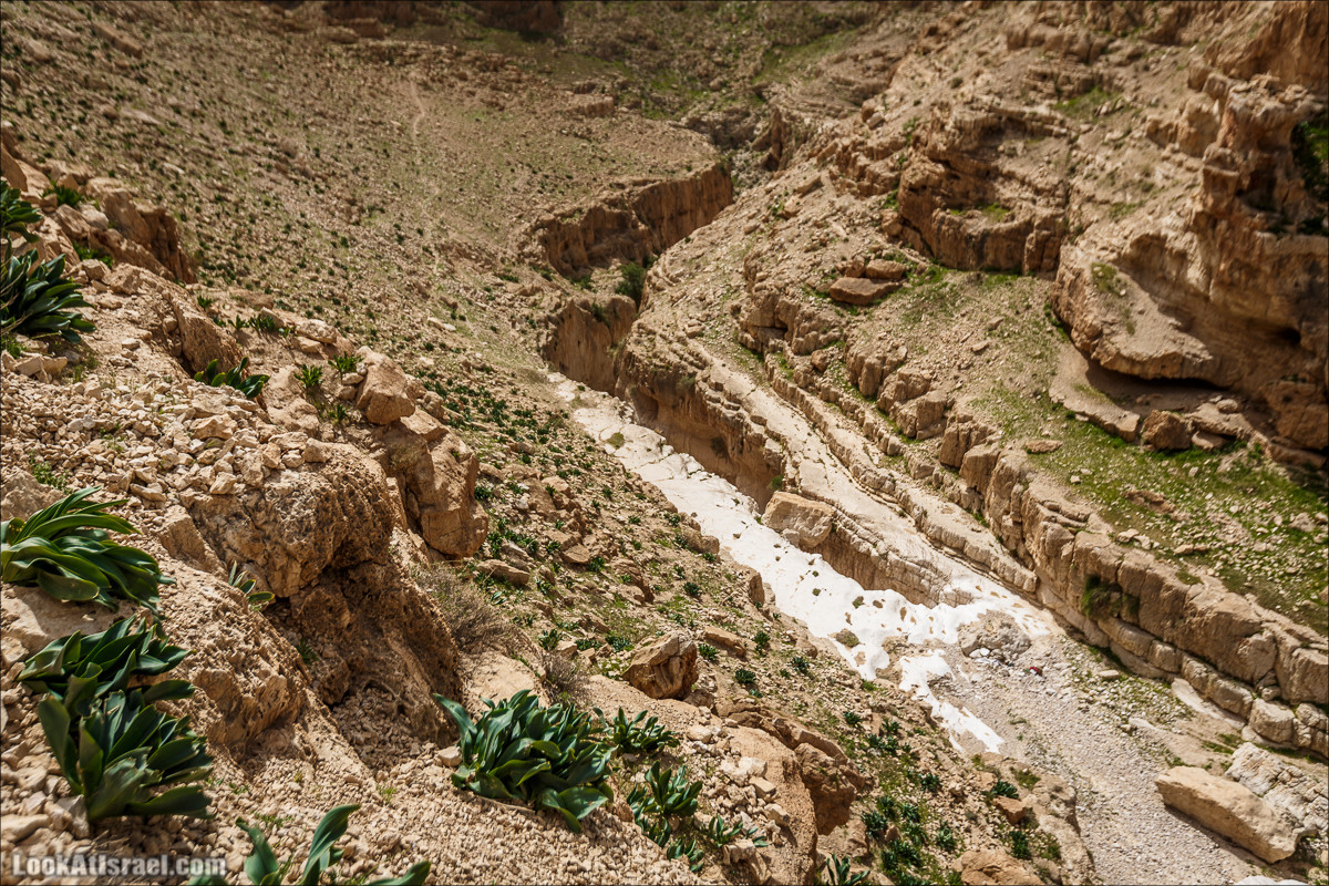 Ущелье Нахаль Ог | Wadi Nahal Og | נחל אוג | LookAtIsrael.com - Фото путешествия по Израилю Ущелье Нахаль Ог | Wadi Nahal Og | נחל אוג | LookAtIsrael.com - Фото путешествия по Израилю