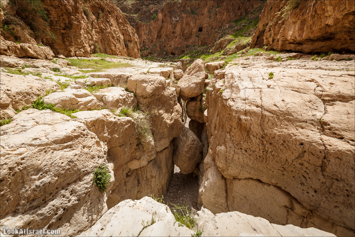 Ущелье Нахаль Ог | Wadi Nahal Og | נחל אוג | LookAtIsrael.com - Фото путешествия по Израилю Ущелье Нахаль Ог | Wadi Nahal Og | נחל אוג | LookAtIsrael.com - Фото путешествия по Израилю