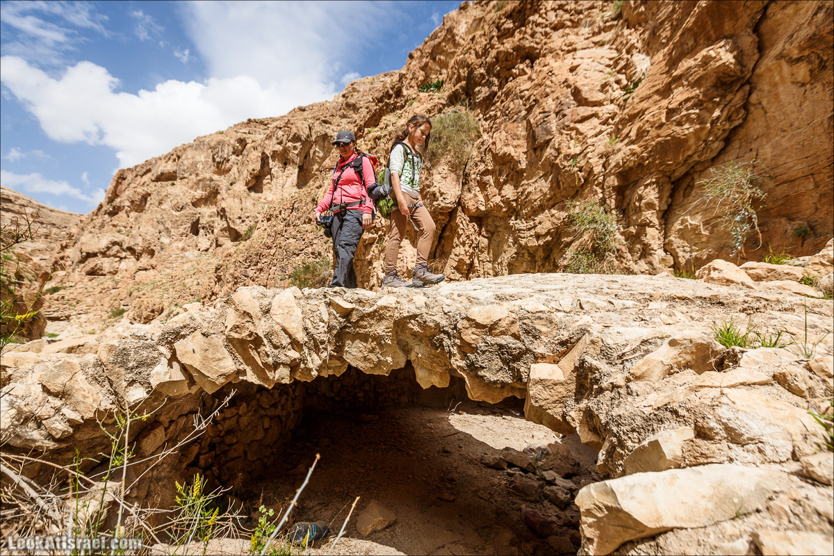 Ущелье Нахаль Ог | Wadi Nahal Og | נחל אוג | LookAtIsrael.com - Фото путешествия по Израилю Ущелье Нахаль Ог | Wadi Nahal Og | נחל אוג | LookAtIsrael.com - Фото путешествия по Израилю