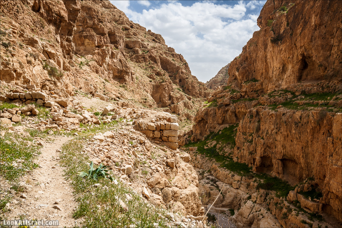 Ущелье Нахаль Ог | Wadi Nahal Og | נחל אוג | LookAtIsrael.com - Фото путешествия по Израилю Ущелье Нахаль Ог | Wadi Nahal Og | נחל אוג | LookAtIsrael.com - Фото путешествия по Израилю