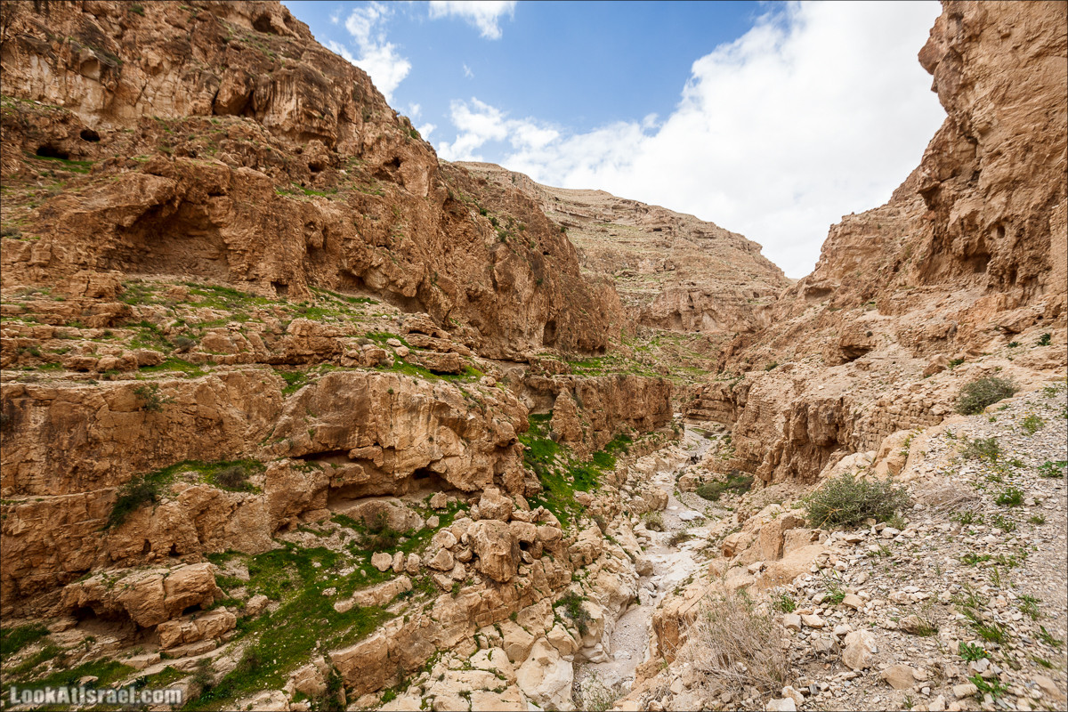 Ущелье Нахаль Ог | Wadi Nahal Og | נחל אוג | LookAtIsrael.com - Фото путешествия по Израилю Ущелье Нахаль Ог | Wadi Nahal Og | נחל אוג | LookAtIsrael.com - Фото путешествия по Израилю