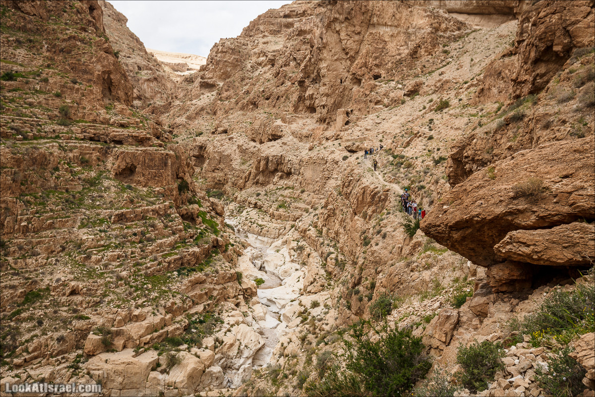 Ущелье Нахаль Ог | Wadi Nahal Og | נחל אוג | LookAtIsrael.com - Фото путешествия по Израилю Ущелье Нахаль Ог | Wadi Nahal Og | נחל אוג | LookAtIsrael.com - Фото путешествия по Израилю