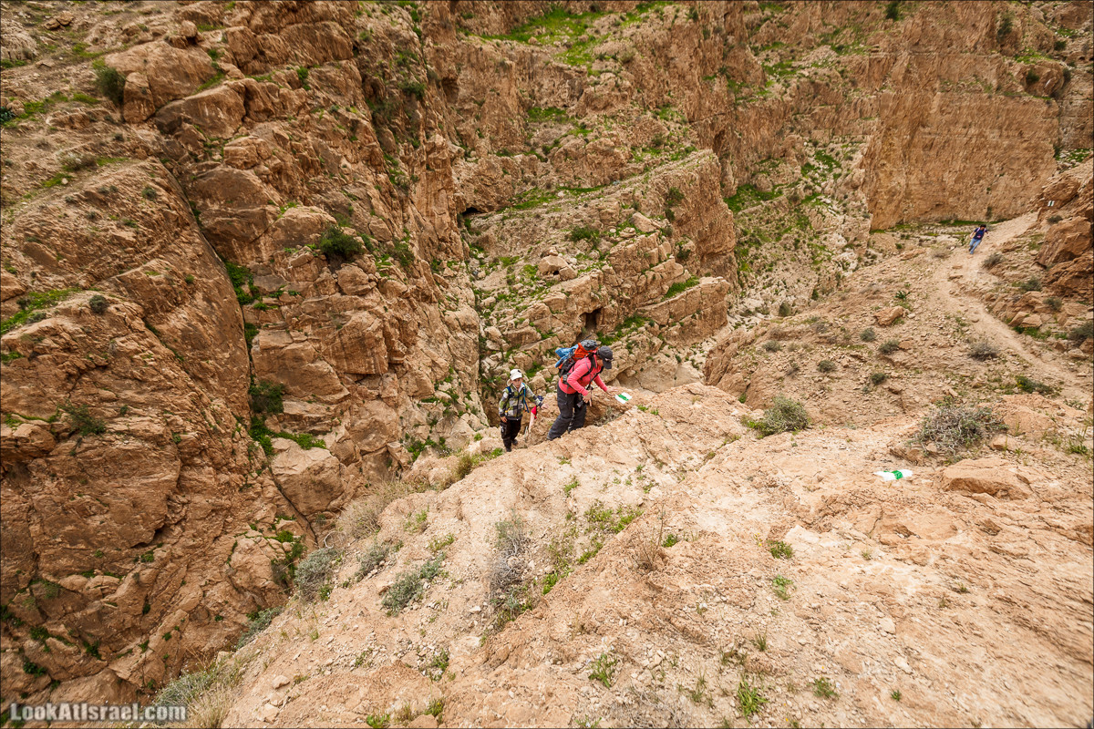 Ущелье Нахаль Ог | Wadi Nahal Og | נחל אוג | LookAtIsrael.com - Фото путешествия по Израилю Ущелье Нахаль Ог | Wadi Nahal Og | נחל אוג | LookAtIsrael.com - Фото путешествия по Израилю