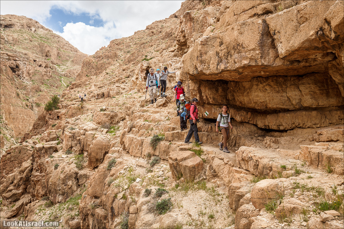 Ущелье Нахаль Ог | Wadi Nahal Og | נחל אוג | LookAtIsrael.com - Фото путешествия по Израилю Ущелье Нахаль Ог | Wadi Nahal Og | נחל אוג | LookAtIsrael.com - Фото путешествия по Израилю