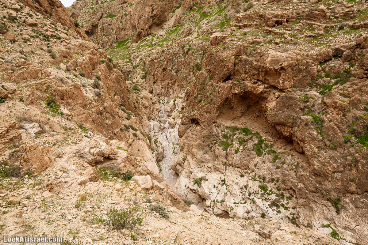 Ущелье Нахаль Ог | Wadi Nahal Og | נחל אוג | LookAtIsrael.com - Фото путешествия по Израилю Ущелье Нахаль Ог | Wadi Nahal Og | נחל אוג | LookAtIsrael.com - Фото путешествия по Израилю