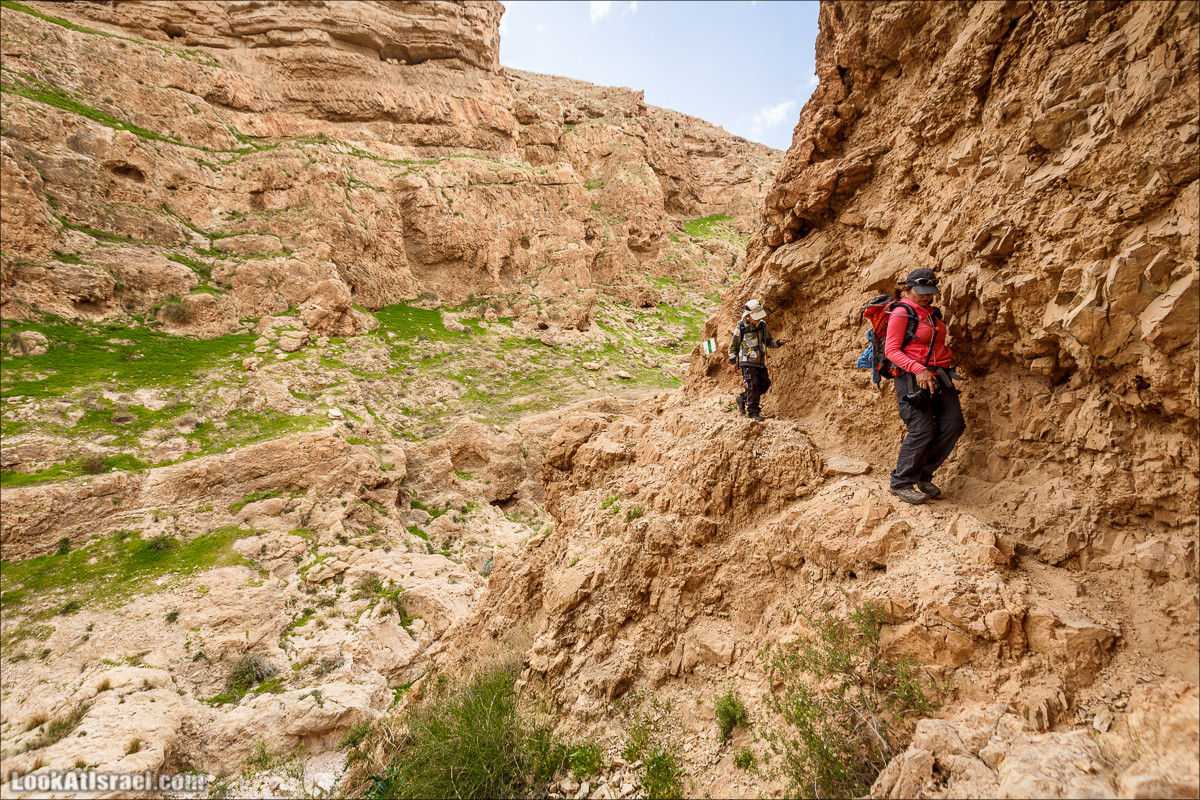 Ущелье Нахаль Ог | Wadi Nahal Og | נחל אוג | LookAtIsrael.com - Фото путешествия по Израилю Ущелье Нахаль Ог | Wadi Nahal Og | נחל אוג | LookAtIsrael.com - Фото путешествия по Израилю