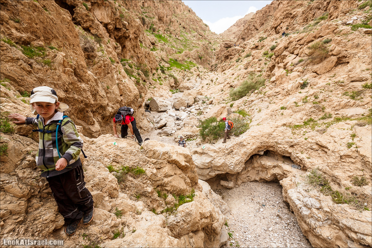 Ущелье Нахаль Ог | Wadi Nahal Og | נחל אוג | LookAtIsrael.com - Фото путешествия по Израилю Ущелье Нахаль Ог | Wadi Nahal Og | נחל אוג | LookAtIsrael.com - Фото путешествия по Израилю