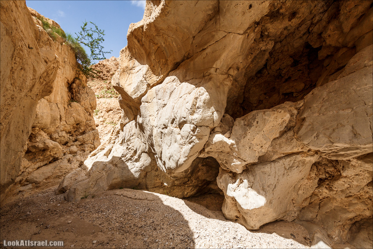Ущелье Нахаль Ог | Wadi Nahal Og | נחל אוג | LookAtIsrael.com - Фото путешествия по Израилю Ущелье Нахаль Ог | Wadi Nahal Og | נחל אוג | LookAtIsrael.com - Фото путешествия по Израилю