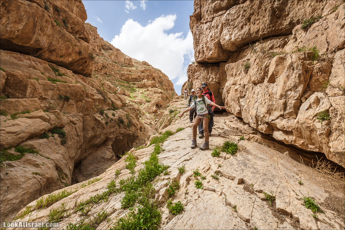 Ущелье Нахаль Ог | Wadi Nahal Og | נחל אוג | LookAtIsrael.com - Фото путешествия по Израилю Ущелье Нахаль Ог | Wadi Nahal Og | נחל אוג | LookAtIsrael.com - Фото путешествия по Израилю