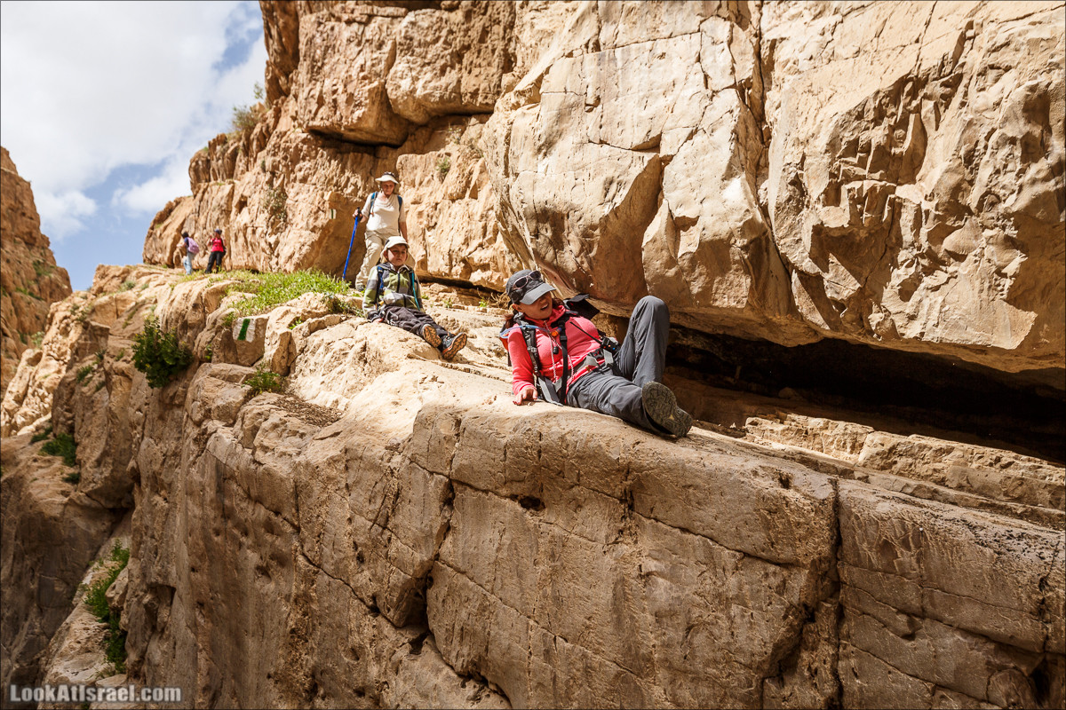 Ущелье Нахаль Ог | Wadi Nahal Og | נחל אוג | LookAtIsrael.com - Фото путешествия по Израилю Ущелье Нахаль Ог | Wadi Nahal Og | נחל אוג | LookAtIsrael.com - Фото путешествия по Израилю