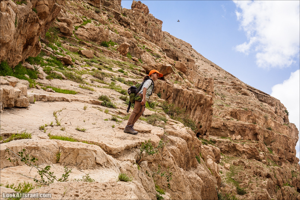 Ущелье Нахаль Ог | Wadi Nahal Og | נחל אוג | LookAtIsrael.com - Фото путешествия по Израилю Ущелье Нахаль Ог | Wadi Nahal Og | נחל אוג | LookAtIsrael.com - Фото путешествия по Израилю