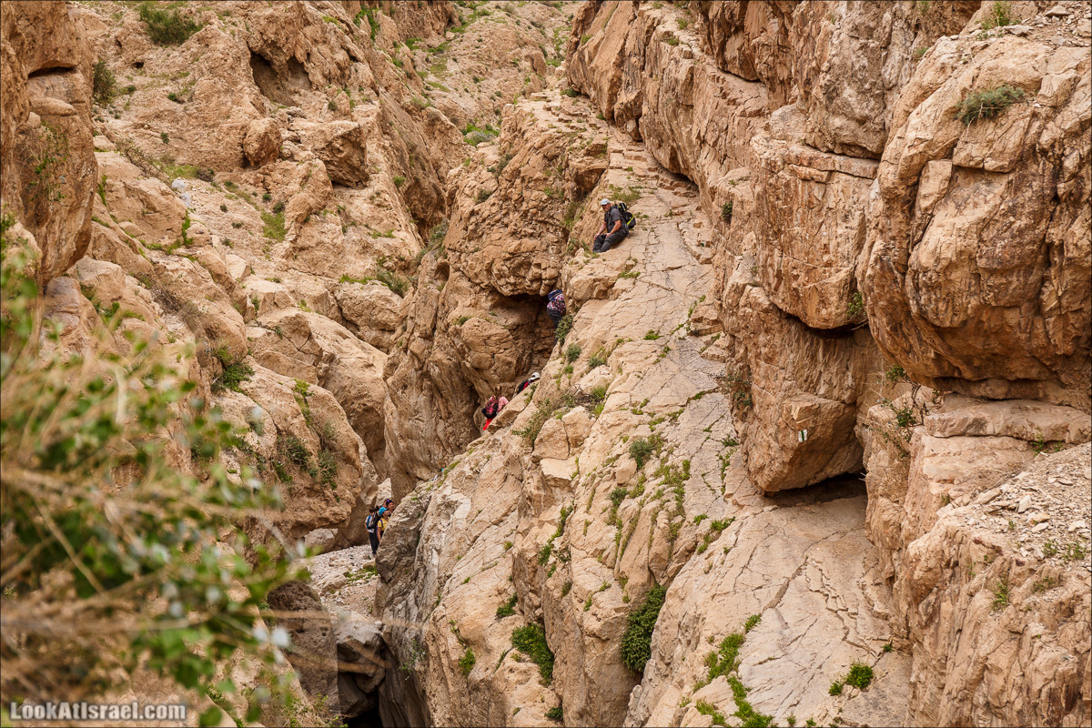 Ущелье Нахаль Ог | Wadi Nahal Og | נחל אוג | LookAtIsrael.com - Фото путешествия по Израилю Ущелье Нахаль Ог | Wadi Nahal Og | נחל אוג | LookAtIsrael.com - Фото путешествия по Израилю