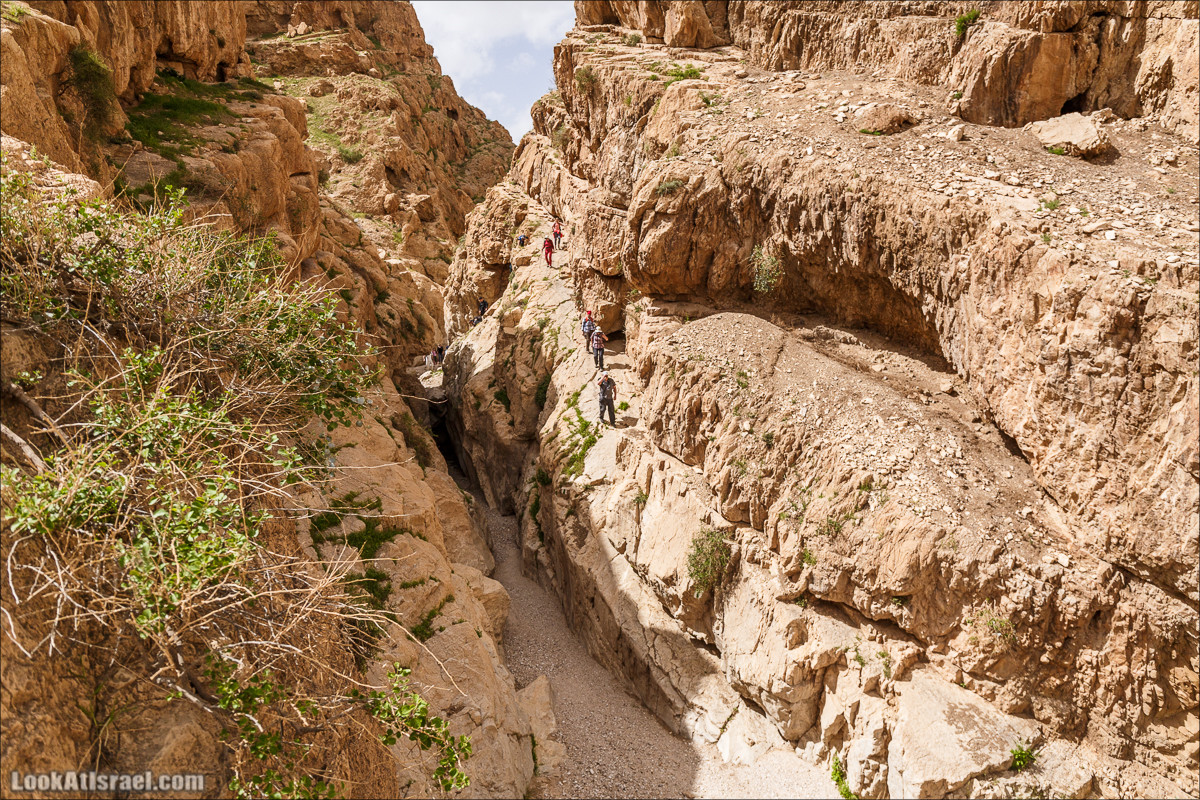 Ущелье Нахаль Ог | Wadi Nahal Og | נחל אוג | LookAtIsrael.com - Фото путешествия по Израилю Ущелье Нахаль Ог | Wadi Nahal Og | נחל אוג | LookAtIsrael.com - Фото путешествия по Израилю