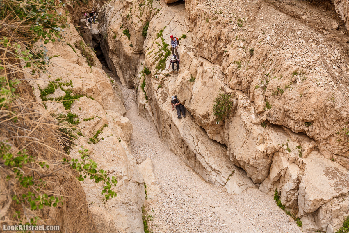 Ущелье Нахаль Ог | Wadi Nahal Og | נחל אוג | LookAtIsrael.com - Фото путешествия по Израилю Ущелье Нахаль Ог | Wadi Nahal Og | נחל אוג | LookAtIsrael.com - Фото путешествия по Израилю