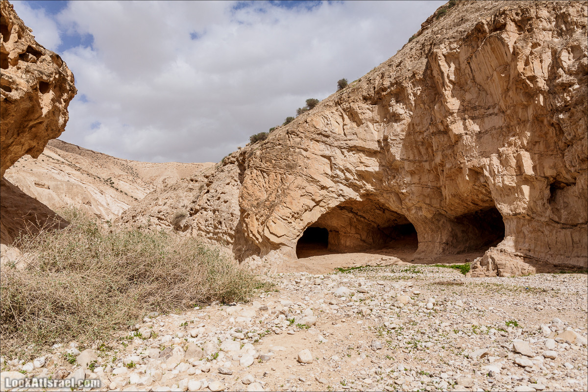 Ущелье Нахаль Ог | Wadi Nahal Og | נחל אוג | LookAtIsrael.com - Фото путешествия по Израилю Ущелье Нахаль Ог | Wadi Nahal Og | נחל אוג | LookAtIsrael.com - Фото путешествия по Израилю
