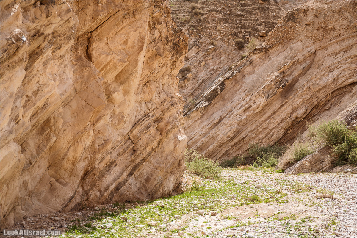 Ущелье Нахаль Ог | Wadi Nahal Og | נחל אוג | LookAtIsrael.com - Фото путешествия по Израилю Ущелье Нахаль Ог | Wadi Nahal Og | נחל אוג | LookAtIsrael.com - Фото путешествия по Израилю