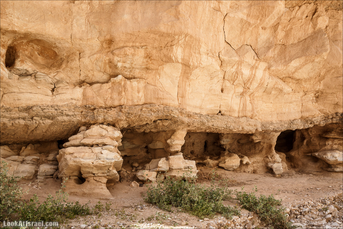 Ущелье Нахаль Ог | Wadi Nahal Og | נחל אוג | LookAtIsrael.com - Фото путешествия по Израилю Ущелье Нахаль Ог | Wadi Nahal Og | נחל אוג | LookAtIsrael.com - Фото путешествия по Израилю