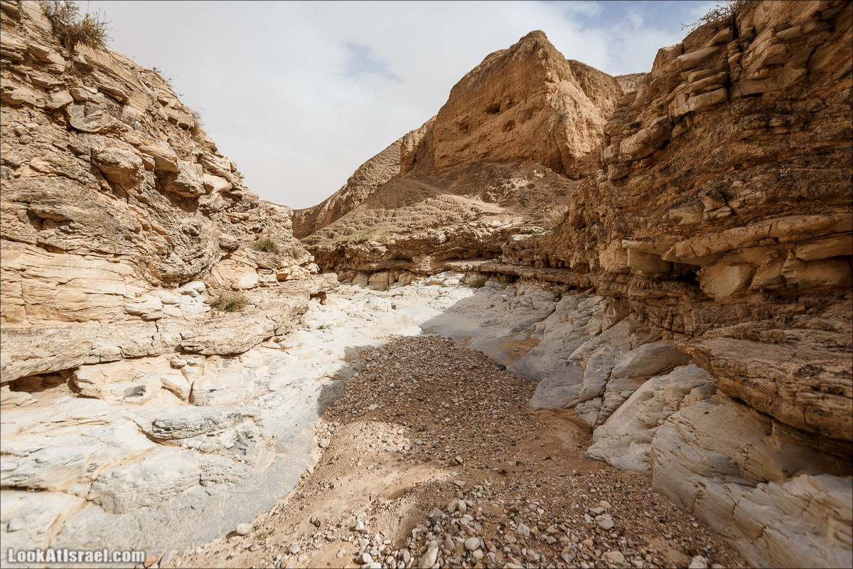 Ущелье Нахаль Ог | Wadi Nahal Og | נחל אוג | LookAtIsrael.com - Фото путешествия по Израилю Ущелье Нахаль Ог | Wadi Nahal Og | נחל אוג | LookAtIsrael.com - Фото путешествия по Израилю
