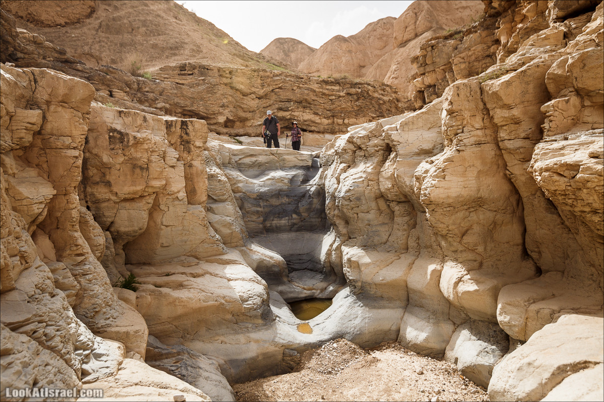 Ущелье Нахаль Ог | Wadi Nahal Og | נחל אוג | LookAtIsrael.com - Фото путешествия по Израилю Ущелье Нахаль Ог | Wadi Nahal Og | נחל אוג | LookAtIsrael.com - Фото путешествия по Израилю