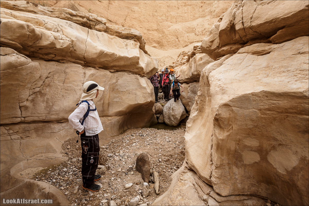 Ущелье Нахаль Ог | Wadi Nahal Og | נחל אוג | LookAtIsrael.com - Фото путешествия по Израилю Ущелье Нахаль Ог | Wadi Nahal Og | נחל אוג | LookAtIsrael.com - Фото путешествия по Израилю