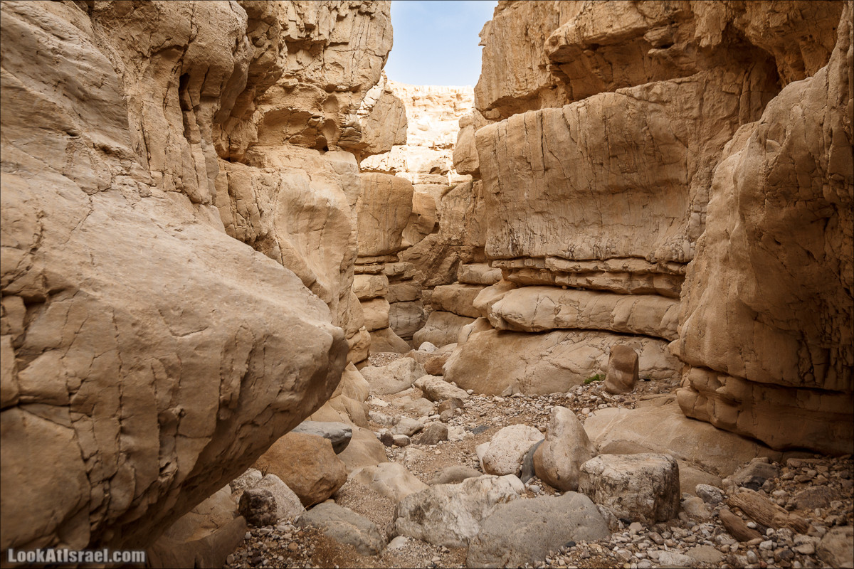 Ущелье Нахаль Ог | Wadi Nahal Og | נחל אוג | LookAtIsrael.com - Фото путешествия по Израилю Ущелье Нахаль Ог | Wadi Nahal Og | נחל אוג | LookAtIsrael.com - Фото путешествия по Израилю