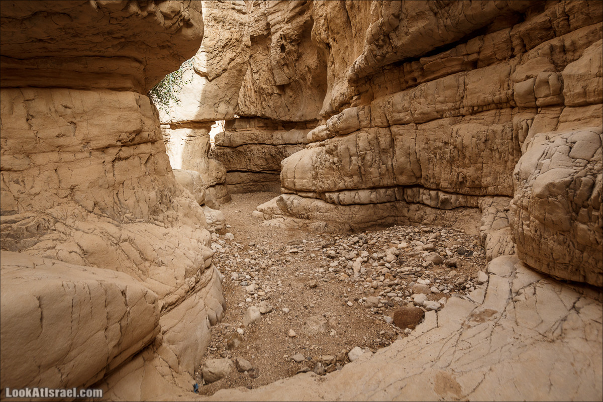 Ущелье Нахаль Ог | Wadi Nahal Og | נחל אוג | LookAtIsrael.com - Фото путешествия по Израилю Ущелье Нахаль Ог | Wadi Nahal Og | נחל אוג | LookAtIsrael.com - Фото путешествия по Израилю