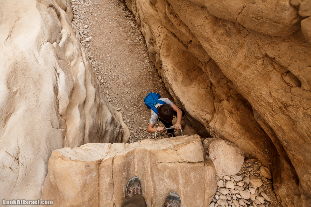 Ущелье Нахаль Ог | Wadi Nahal Og | נחל אוג | LookAtIsrael.com - Фото путешествия по Израилю Ущелье Нахаль Ог | Wadi Nahal Og | נחל אוג | LookAtIsrael.com - Фото путешествия по Израилю
