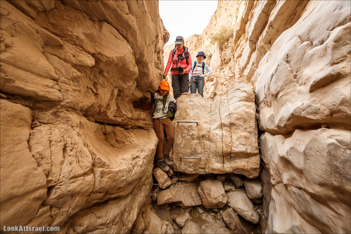 Ущелье Нахаль Ог | Wadi Nahal Og | נחל אוג | LookAtIsrael.com - Фото путешествия по Израилю Ущелье Нахаль Ог | Wadi Nahal Og | נחל אוג | LookAtIsrael.com - Фото путешествия по Израилю