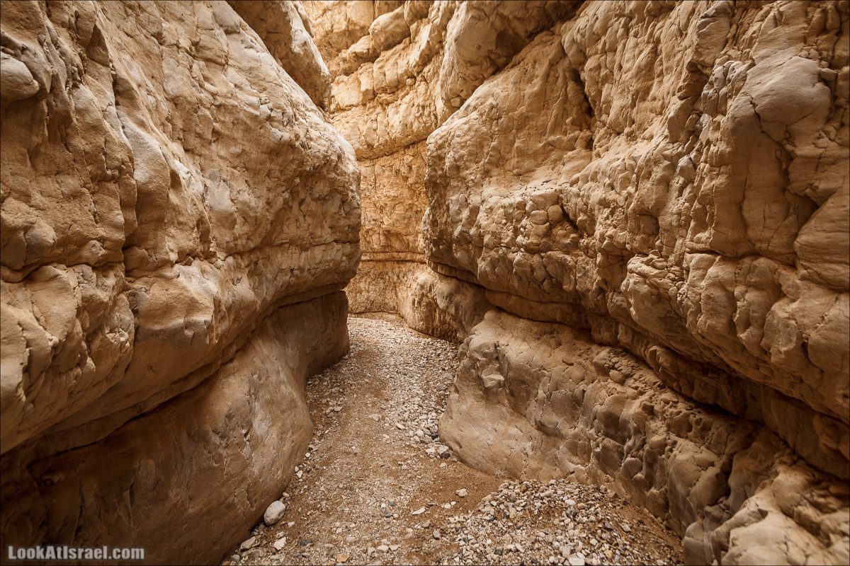 Ущелье Нахаль Ог | Wadi Nahal Og | נחל אוג | LookAtIsrael.com - Фото путешествия по Израилю Ущелье Нахаль Ог | Wadi Nahal Og | נחל אוג | LookAtIsrael.com - Фото путешествия по Израилю