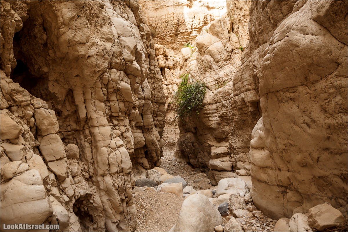 Ущелье Нахаль Ог | Wadi Nahal Og | נחל אוג | LookAtIsrael.com - Фото путешествия по Израилю Ущелье Нахаль Ог | Wadi Nahal Og | נחל אוג | LookAtIsrael.com - Фото путешествия по Израилю