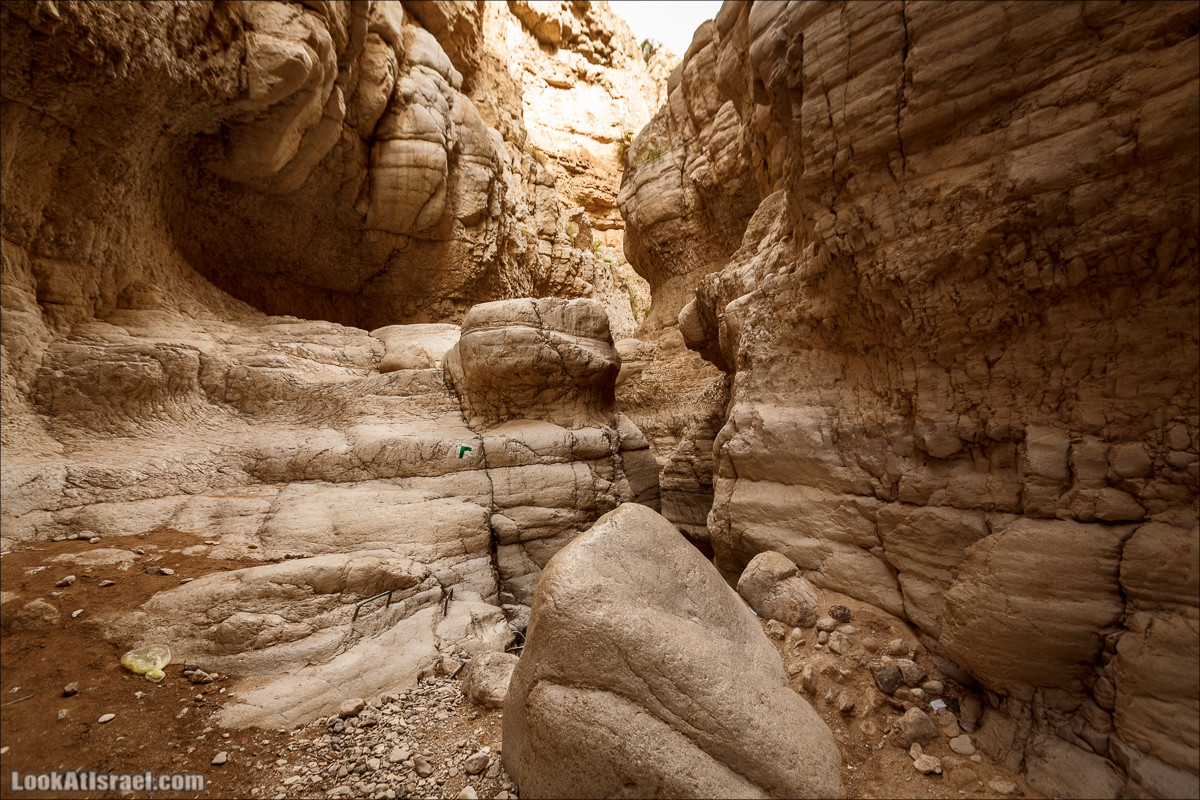Ущелье Нахаль Ог | Wadi Nahal Og | נחל אוג | LookAtIsrael.com - Фото путешествия по Израилю Ущелье Нахаль Ог | Wadi Nahal Og | נחל אוג | LookAtIsrael.com - Фото путешествия по Израилю