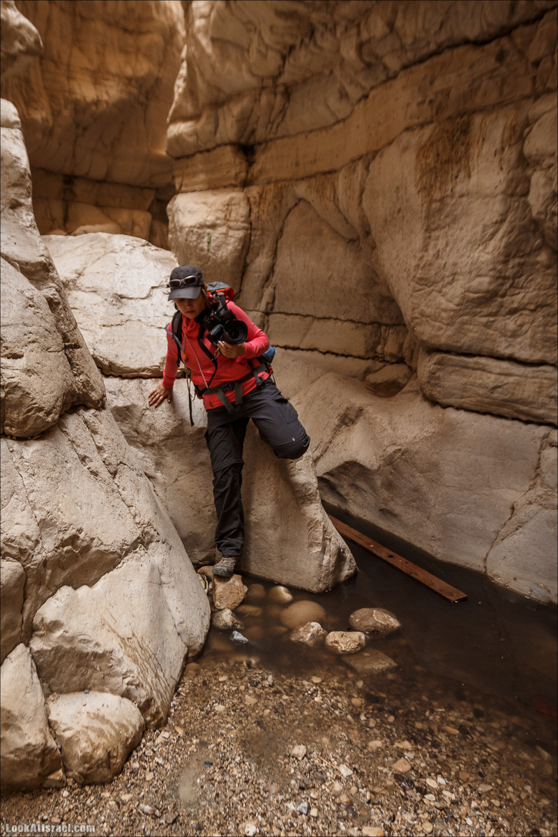 Ущелье Нахаль Ог | Wadi Nahal Og | נחל אוג | LookAtIsrael.com - Фото путешествия по Израилю Ущелье Нахаль Ог | Wadi Nahal Og | נחל אוג | LookAtIsrael.com - Фото путешествия по Израилю