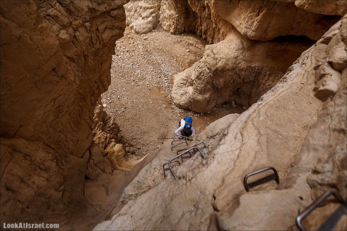 Ущелье Нахаль Ог | Wadi Nahal Og | נחל אוג | LookAtIsrael.com - Фото путешествия по Израилю Ущелье Нахаль Ог | Wadi Nahal Og | נחל אוג | LookAtIsrael.com - Фото путешествия по Израилю