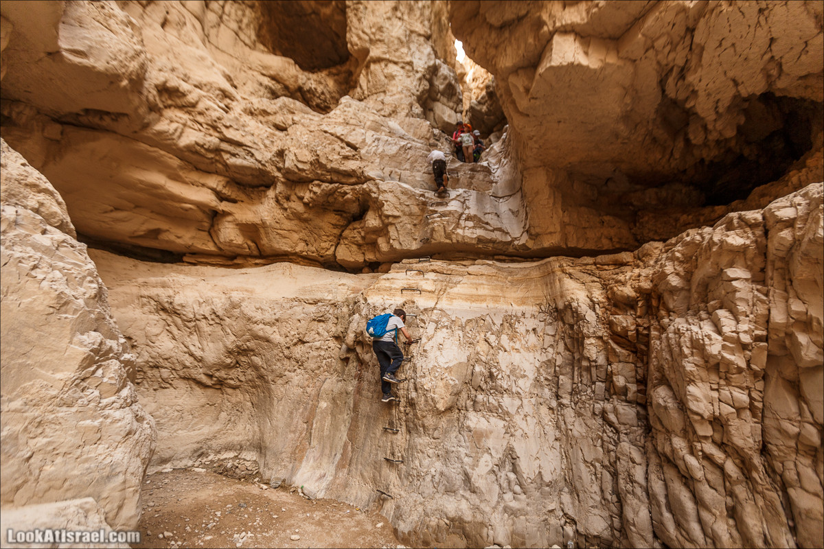 Ущелье Нахаль Ог | Wadi Nahal Og | נחל אוג | LookAtIsrael.com - Фото путешествия по Израилю Ущелье Нахаль Ог | Wadi Nahal Og | נחל אוג | LookAtIsrael.com - Фото путешествия по Израилю