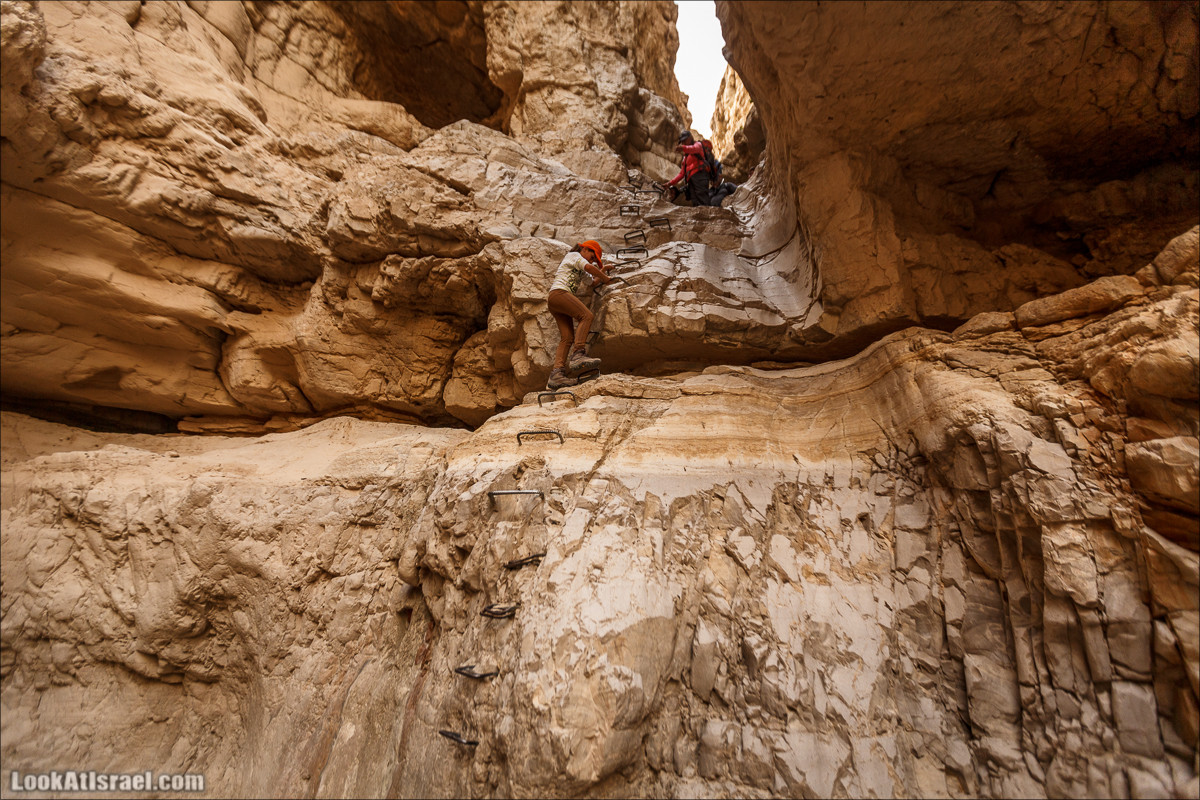 Ущелье Нахаль Ог | Wadi Nahal Og | נחל אוג | LookAtIsrael.com - Фото путешествия по Израилю Ущелье Нахаль Ог | Wadi Nahal Og | נחל אוג | LookAtIsrael.com - Фото путешествия по Израилю