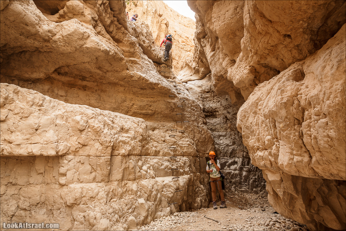 Ущелье Нахаль Ог | Wadi Nahal Og | נחל אוג | LookAtIsrael.com - Фото путешествия по Израилю Ущелье Нахаль Ог | Wadi Nahal Og | נחל אוג | LookAtIsrael.com - Фото путешествия по Израилю