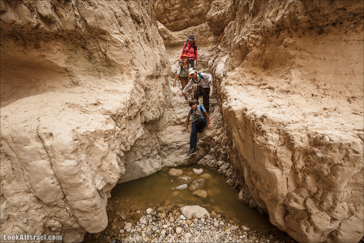 Ущелье Нахаль Ог | Wadi Nahal Og | נחל אוג | LookAtIsrael.com - Фото путешествия по Израилю Ущелье Нахаль Ог | Wadi Nahal Og | נחל אוג | LookAtIsrael.com - Фото путешествия по Израилю